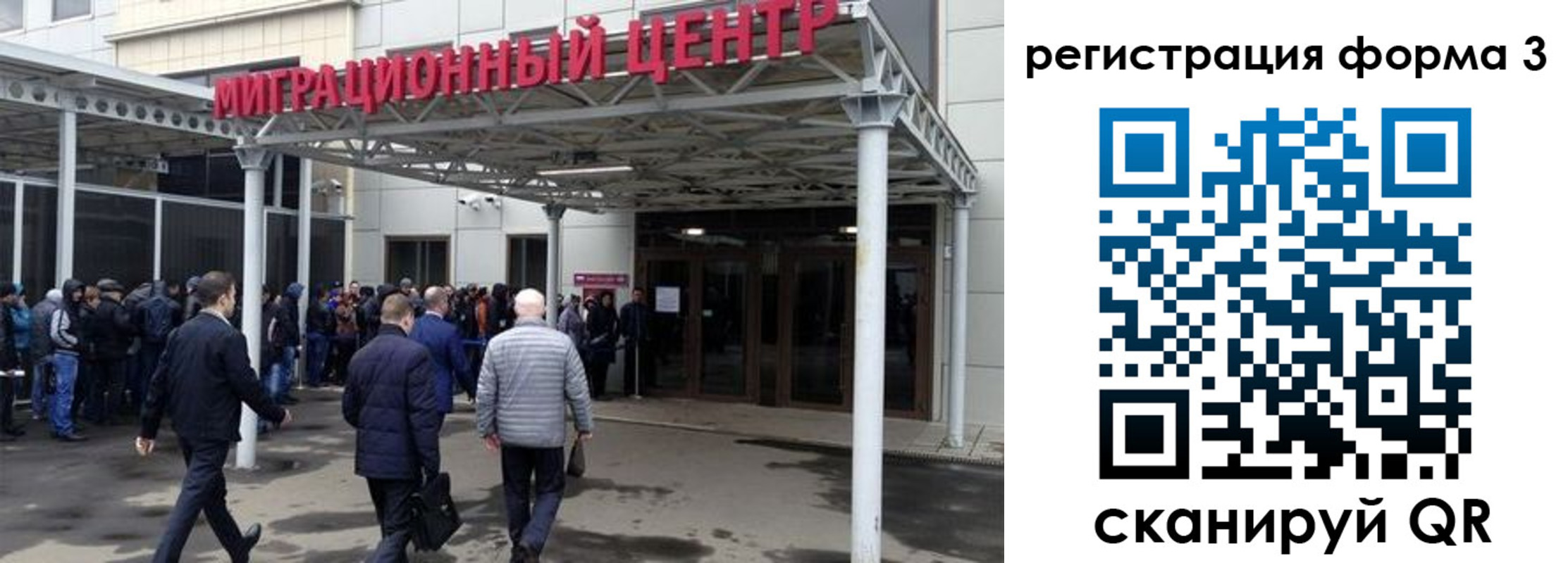 прописка поиск в Сафоново