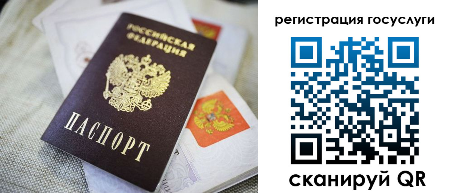 прописка гарантия в Сафоново